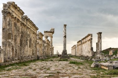 Apamea Suriye, savaştan önce ünlü sütunlu antik harabeler