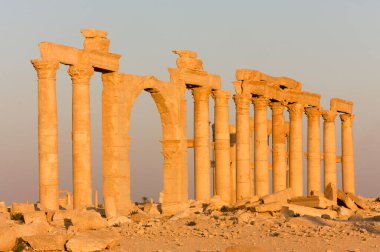 Palmyre Suriye 2009 Roma döneminden kalma antik bir şehrin kalıntıları