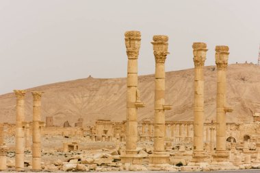 Palmyre Suriye 2009 Roma döneminden kalma antik bir şehrin kalıntıları