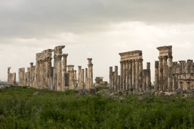 Apamea Suriye, savaştan önce ünlü sütunlu antik harabeler