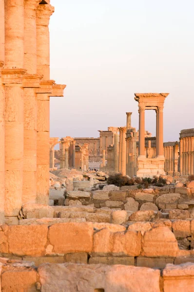 Palmyre Suriye 2009 Roma döneminden kalma antik bir şehrin kalıntıları