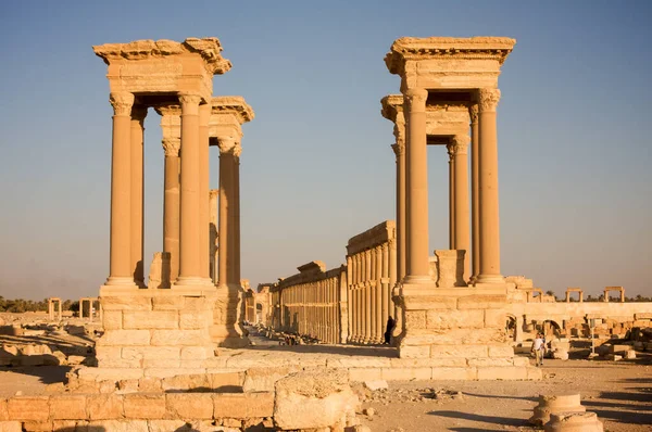 Palmyre Síria 2009 As ruínas de uma antiga cidade que data do período romano — Fotografia de Stock