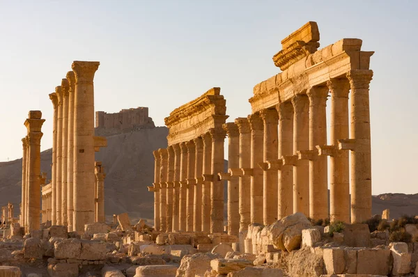 Palmyre Siria 2009 Las ruinas de una antigua ciudad que data de la época romana — Foto de Stock