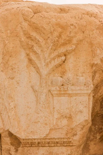 バアル・シャミン・パルミレ寺院シリア2009古代都市の遺跡 — ストック写真