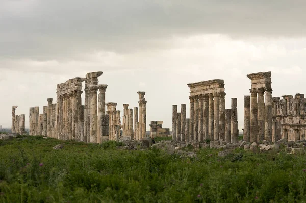 Apamea Sýrie, starobylé zříceniny se slavnou kolonádou před zničením ve válce — Stock fotografie