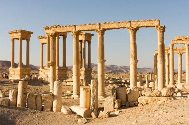 Palmyre Suriye 2009 Roma döneminden kalma antik bir şehrin kalıntıları