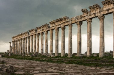 Apamea Suriye, savaştan önce ünlü sütunlu antik harabeler