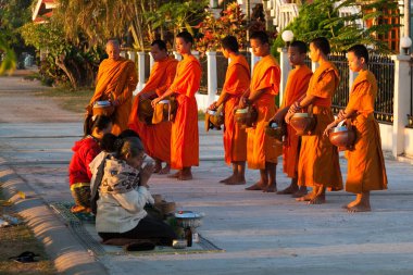 Muong Khong Laos 1.12.2012 Şafak sökerken köyde pirinç toplamak için keşişler