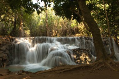 Kuang Si Şelalesi Laos, ormandaki ünlü şelaleler ve güzel manzaralar.