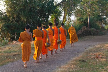 Muong Khong Laos 1.12.2012 Şafak sökerken köyde pirinç toplamak için keşişler