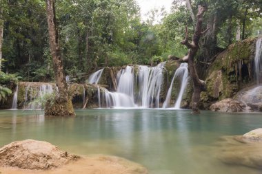 Tat Sae Şelalesi Laos Ormanda akan suyla turistik bir cazibe
