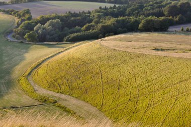 English countryside of White Horse Hill Uffington with track leading to summit clipart