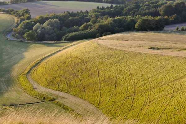 Engelsk Landsbygd White Horse Hill Uffington Med Spår Som Leder Royaltyfria Stockbilder