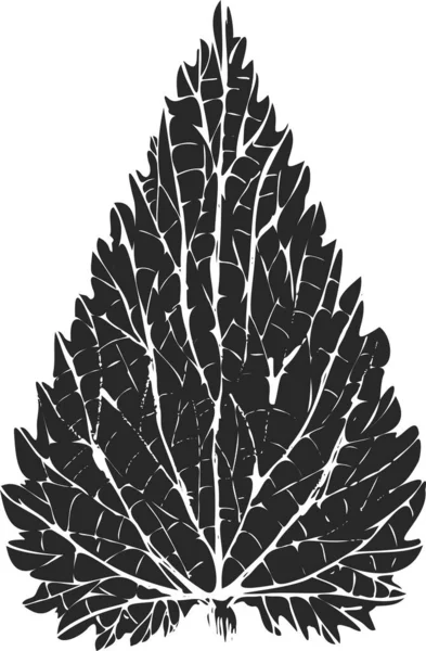 Intrycket Nässlor Löv — Stock vektor