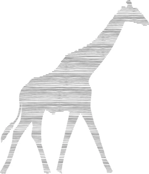 Girafa Contorno Padrão Listra Código Barras Preto —  Vetores de Stock