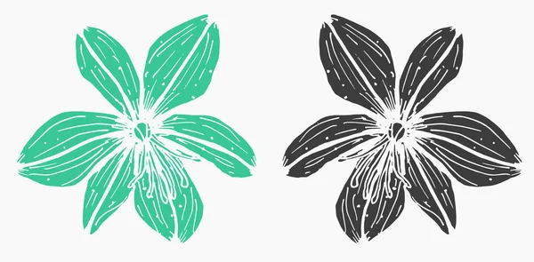 Kwiat Asfaltu Drukuj Dla Pamiętników Botanicznych — Wektor stockowy