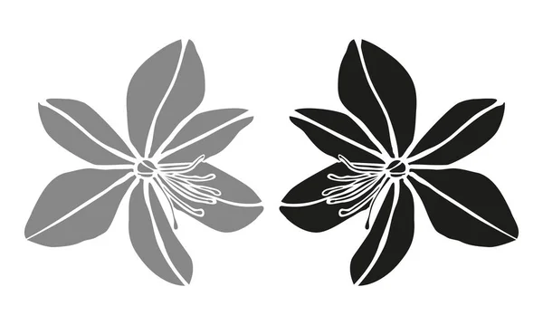Impression Logo Diaries Simple Fleur Phlox Noir Blanc — Image vectorielle