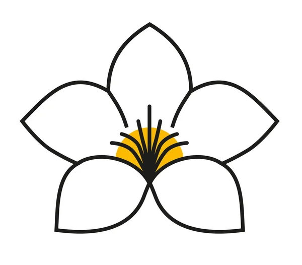 Beyaz arka planda alamanda bitki logosu çiçeği