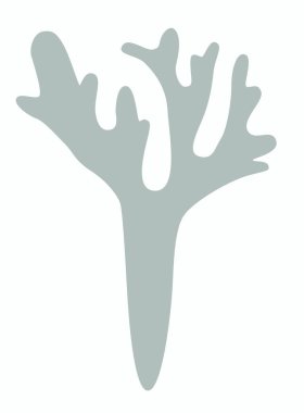 Bir tutam yosun, liken ya da ren geyiği yosunu yosun yosunu logosu, ya da beyaz arkaplanda bir simge