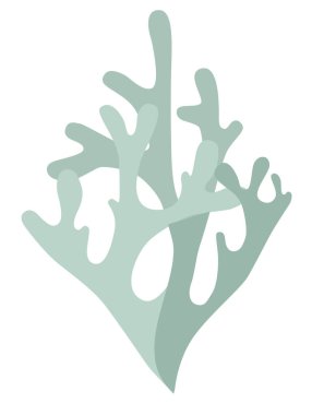 Yosun amblemi, geyik yosunu, İzlanda yosunu beyaz arka planda iki renk.