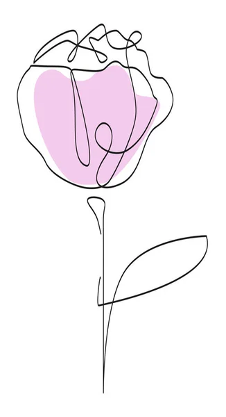 Τριαντάφυλλο Λουλούδι Μια Γραμμή Περίγραμμα Και Ένα Χρωματιστό Ροζ Κηλίδα — Διανυσματικό Αρχείο