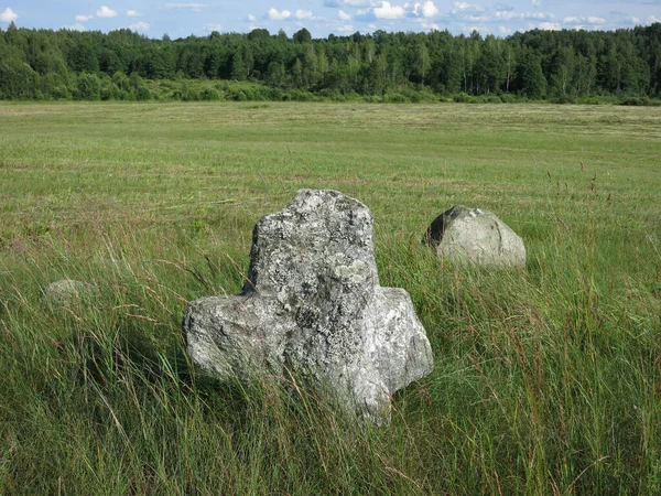 Старое Языческое Кладбище Беларуси Каменный Серый Гранитный Крест Гуманоид Зеленом — стоковое фото