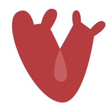 Kalp logosu şeklinde kırmızı mercan filizleri