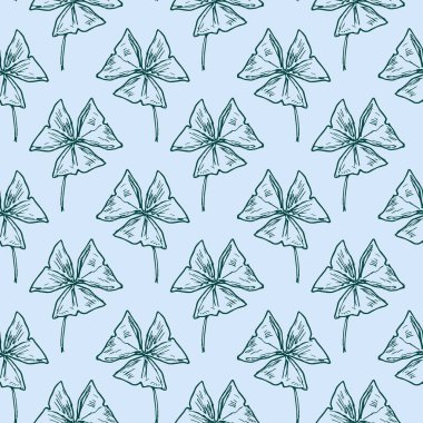 Oksalis bitkisinin yaprağı mavi bir arka planda pürüzsüzdür.