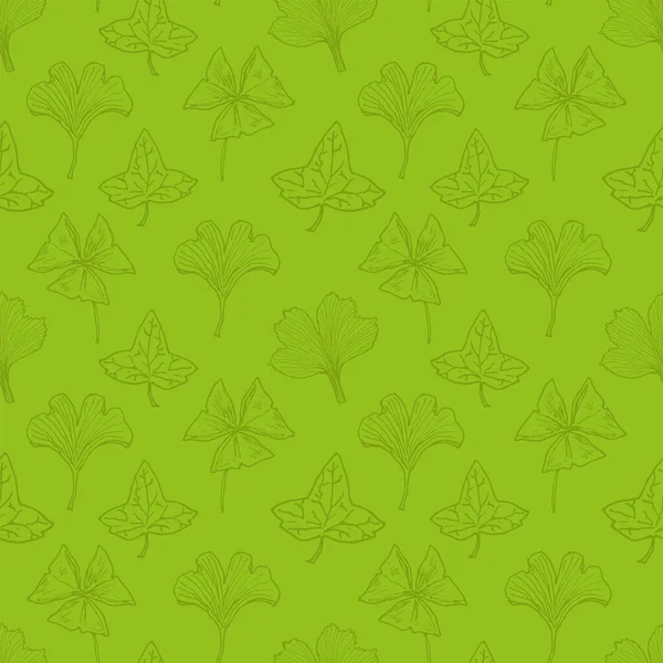Feuilles Plantes Domestiques Ginkgo Ivy Oxalis Fond Vert Sans Couture — Image vectorielle