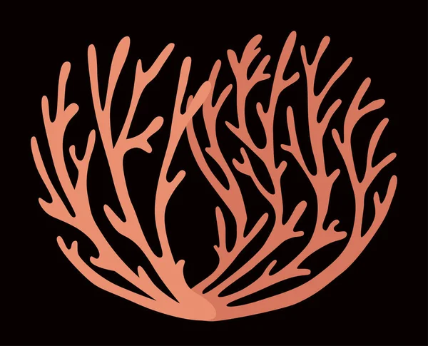 Deux Brins Corail Rouge Sur Fond Noir — Image vectorielle