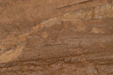 Sıvı çamur, kum ve su birikintilerinde ayak izi, kırmızı toprak dokusu.