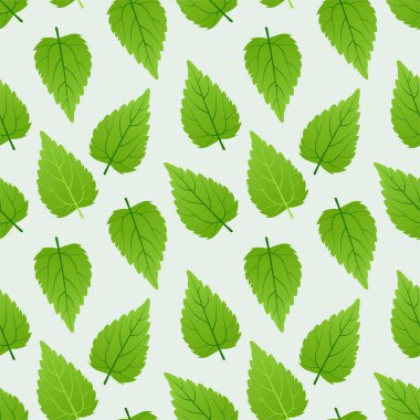 Dikensiz desenli tıbbi bir bitkinin ısırık yaprakları