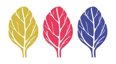 Üç renkli çarşaf, ana hatlarıyla iz.