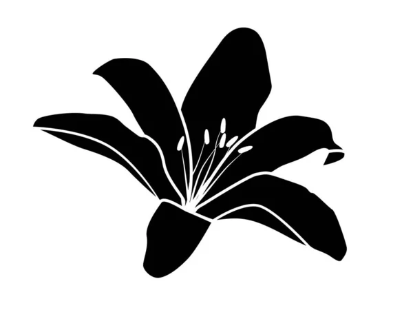 黑色标识 印有多瓣花 百合花的图像 — 图库矢量图片