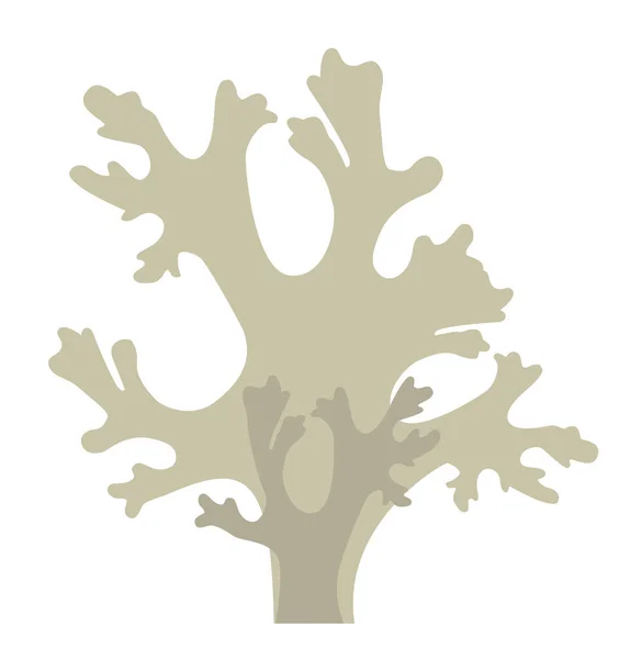 Gray Lichen Design Cetraria Icelandic — Stock Vector
