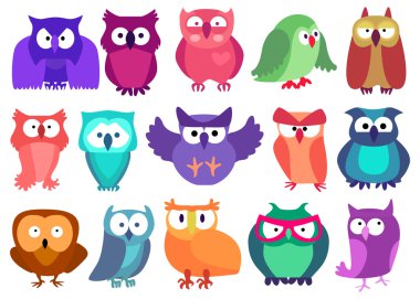 Kesintisiz renkli baykuş