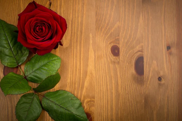 Rose y la hoja en el fondo de madera — Foto de Stock