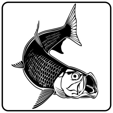 Tarpon beyaz yeni