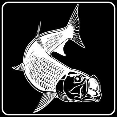 Tarpon siyah yeni