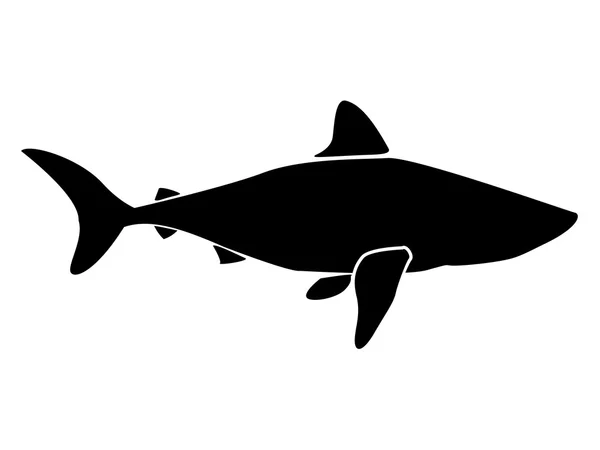 SHARK LOGO NEW — Stock Vector