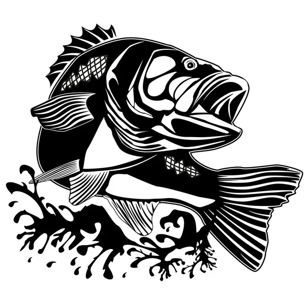 Levrek balığı yeni