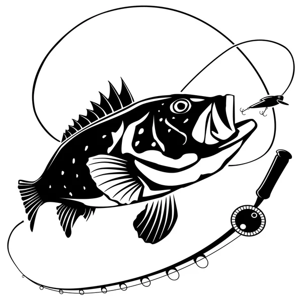 SEA BASS NEW — Stock Illustration SEA BASS NEW Vector Graphics