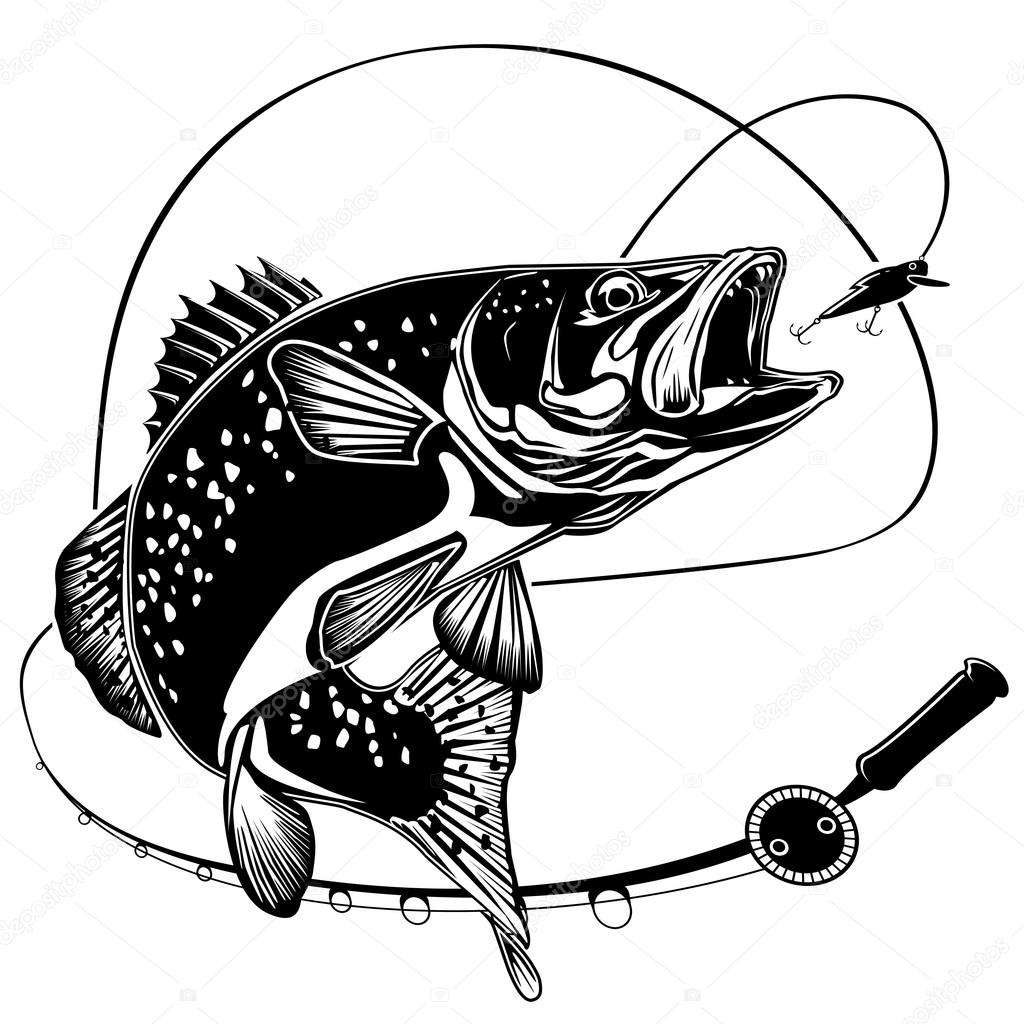 Bianco di trota con Rod — Vettoriale Stock