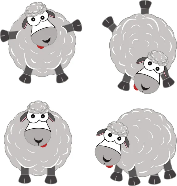 Lambs Vector Art Stock Images | Depositphotos