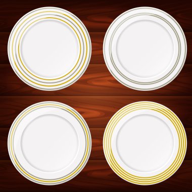 PLATES GOLD AND SILVER LINES 4