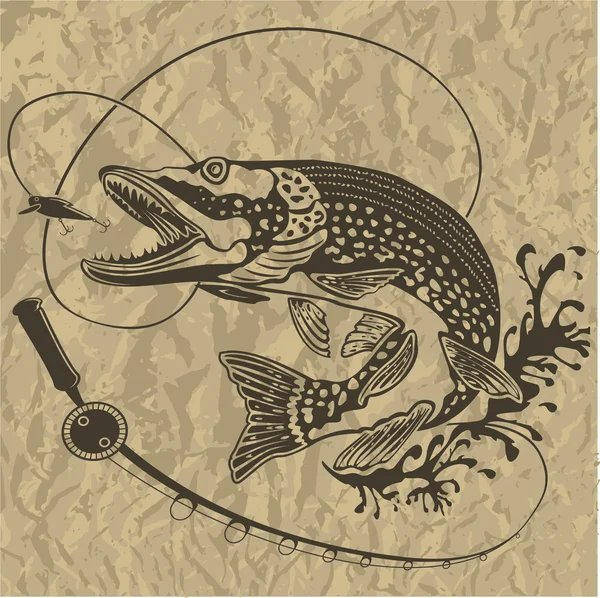 PIKE FRESH FISH BROWN BACKGROUND 3 — 스톡 벡터
