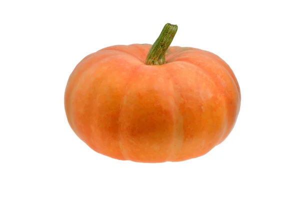 Calabaza naranja madura — Foto de Stock