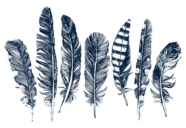 Hand drawn feathers on white background — Stock Vector