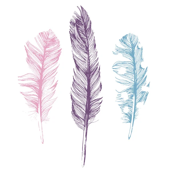 Hand drawn feathers on white background — Stock Vector