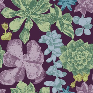 Succulents ile Seamless Modeli